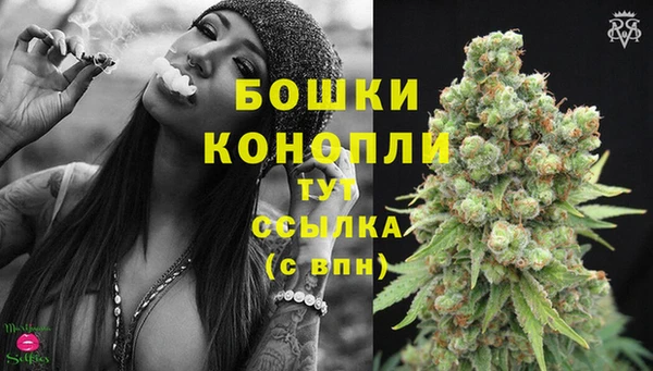 твердый Осташков