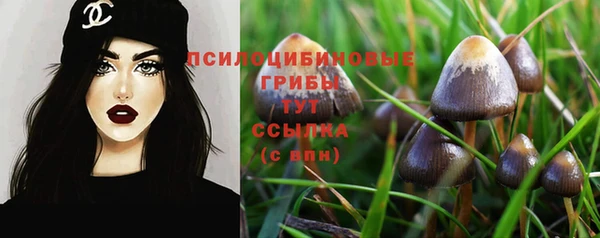 твердый Осташков