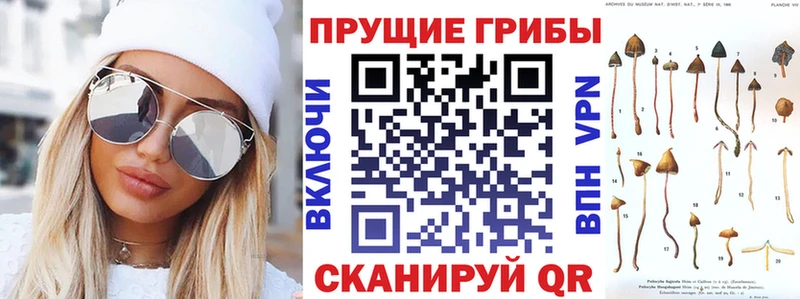 Купить закладки  Мытищи  Псилоцибиновые грибы мицелий 